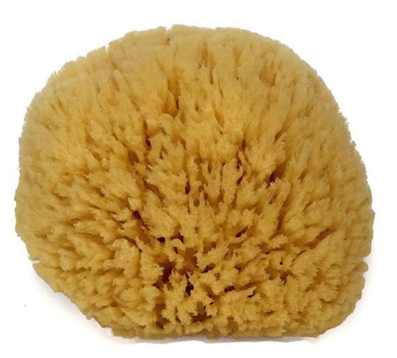 spa destinations Natural Sea Sponge 67 by Spa Destinations Creating The AtHome Spa Experience - Image 2