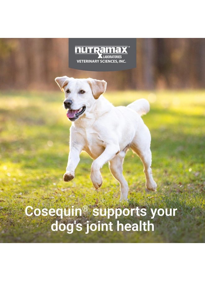 Nutramax Laboratories Nutramax Laboratories Cosequin Maximum Strength Joint Health Supplement for Dogs - With Glucosamine, Chondroitin, and MSM, 250 Chewable Tablets  - Image 3