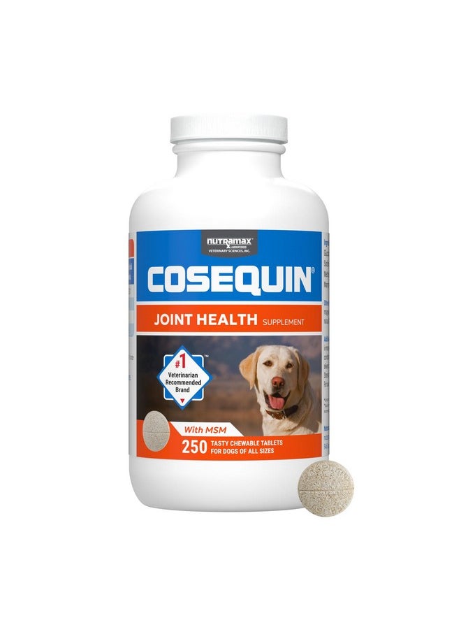 Nutramax Laboratories Nutramax Laboratories Cosequin Maximum Strength Joint Health Supplement for Dogs - With Glucosamine, Chondroitin, and MSM, 250 Chewable Tablets  - Image 1
