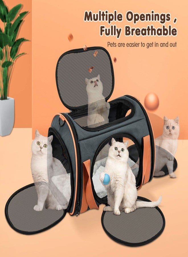 OKMEE Cat Carrier TSA Airline Approved with Ventilation for Small Medium Cats Dogs Puppies, Dog Carrier with Big Space, 5 Mesh Windows, 4 Open Doors for Comfortable Travelling. - Image 2