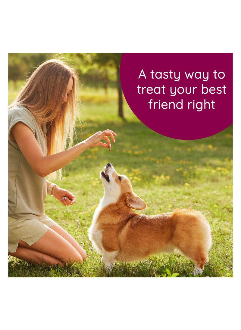 CARU - Soft N’ Tasty Baked Bites Salmon Recipe For Dog 113Gm - Image 1