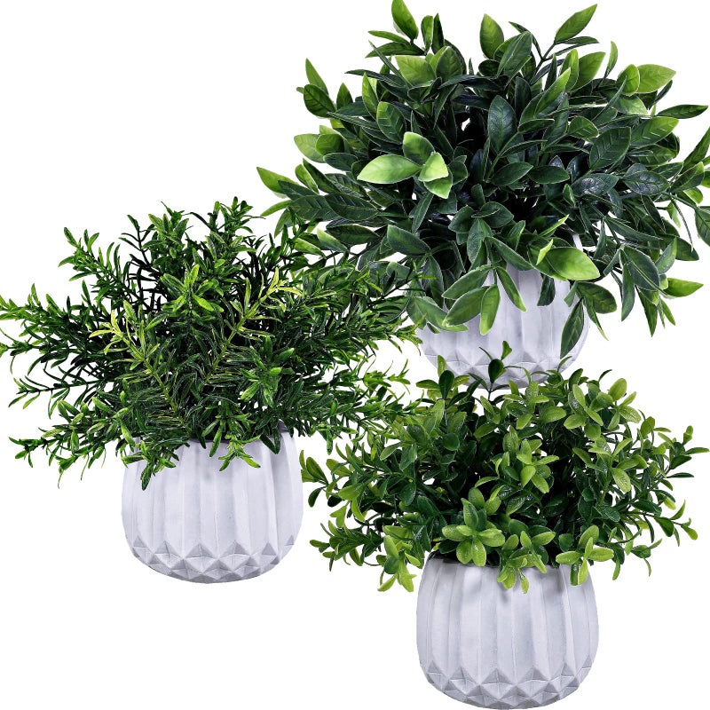 Winlyn Winlyn 3 Pcs Faux Potted Plants Set - Artificial Eucalyptus  Rosemary  Boxwood Greenery in Small White Geometric Planters for Indoor Outdoor Desk Table Centerpiece Shelf Windowsill Home Office Decor - Image 2