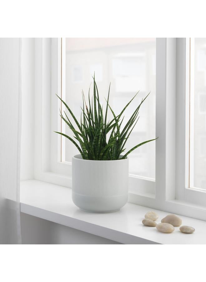 Zaboon Plant pot, grey, 15 cm - Image 4