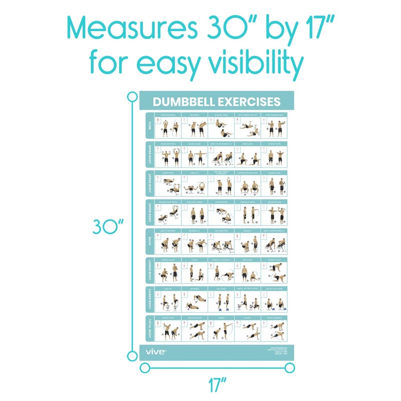 Vive Dumbbell Workout Poster - Home Gym Exercise for Upper, Lower, Full Body - Laminated Bodyweight Chart for Back, Arm, Core and Legs - Free Weight Building Guide For Men, Women, Elderly (30" x 17") - Image 5