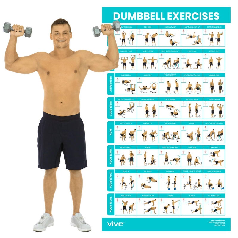 Vive Dumbbell Workout Poster - Home Gym Exercise for Upper, Lower, Full Body - Laminated Bodyweight Chart for Back, Arm, Core and Legs - Free Weight Building Guide For Men, Women, Elderly (30" x 17") - Image 1
