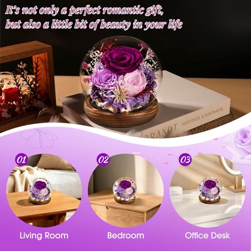 FIACO Sunflower Gifts for Women Valentines Day Preserved Forever Eternal Flower Rose in Glass Fresh Flowers for Delivery Mothers Day Birthday Gift for Mom Grandma Sister Wife Her Girlfriend Decor - Image 5