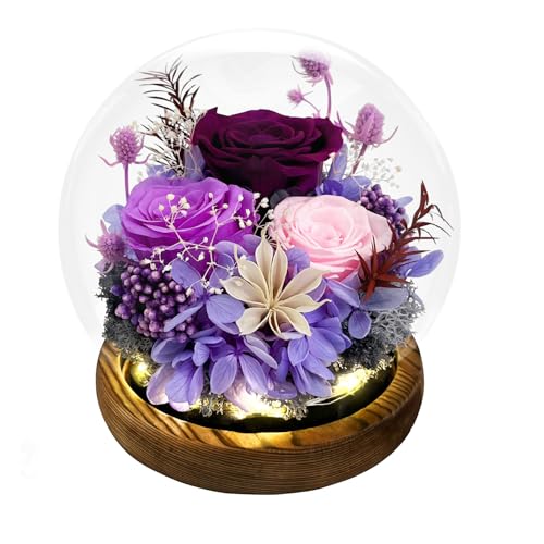FIACO Sunflower Gifts for Women Valentines Day Preserved Forever Eternal Flower Rose in Glass Fresh Flowers for Delivery Mothers Day Birthday Gift for Mom Grandma Sister Wife Her Girlfriend Decor - Image 1