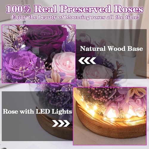 FIACO Sunflower Gifts for Women Valentines Day Preserved Forever Eternal Flower Rose in Glass Fresh Flowers for Delivery Mothers Day Birthday Gift for Mom Grandma Sister Wife Her Girlfriend Decor - Image 3