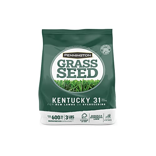 Pennington Kentucky 31 Tall Fescue Penkoted Grass Seed 3 lb - Image 1
