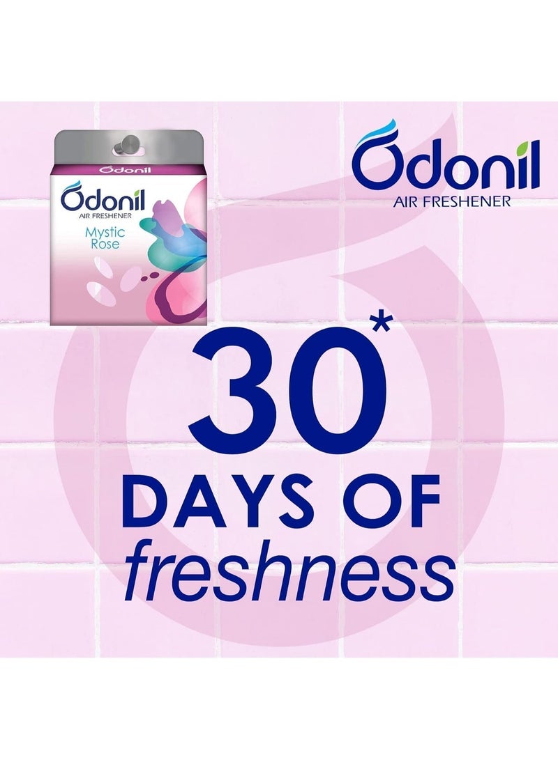 مجموعة متنوعة من معطرات الجو Odonil - 48 جرام (عبوة من 5 قطع) - Image 3