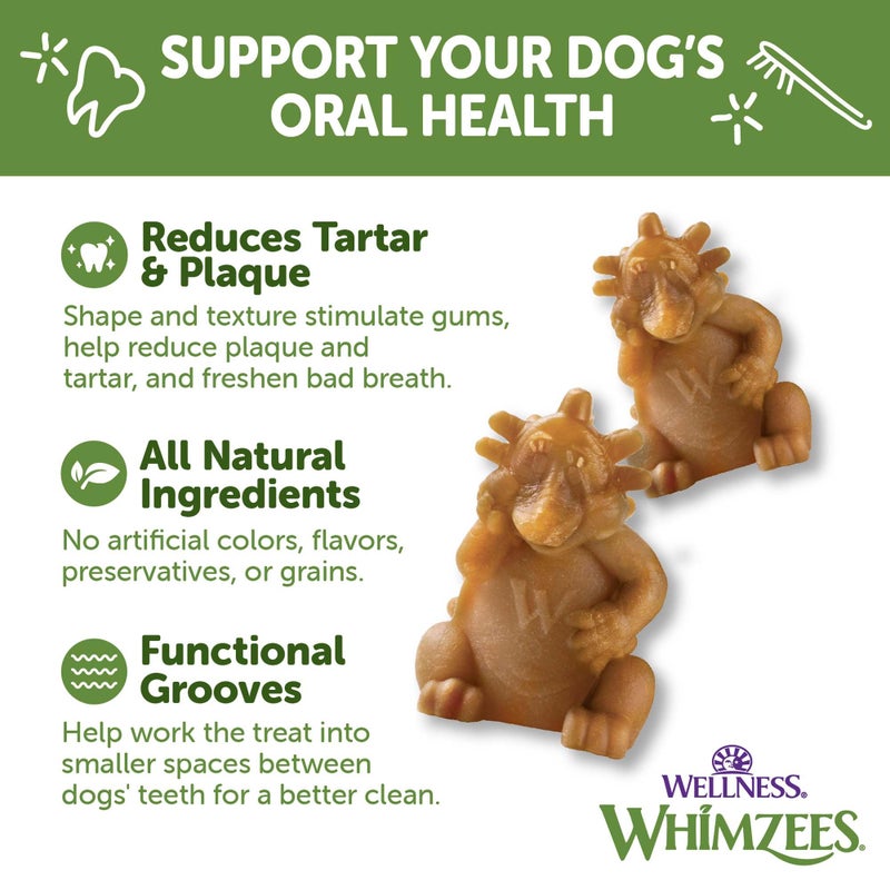 WHIMZEES Wellness Hedgehog Dog Dental Treats, Large Size, (6 Count) - Image 5