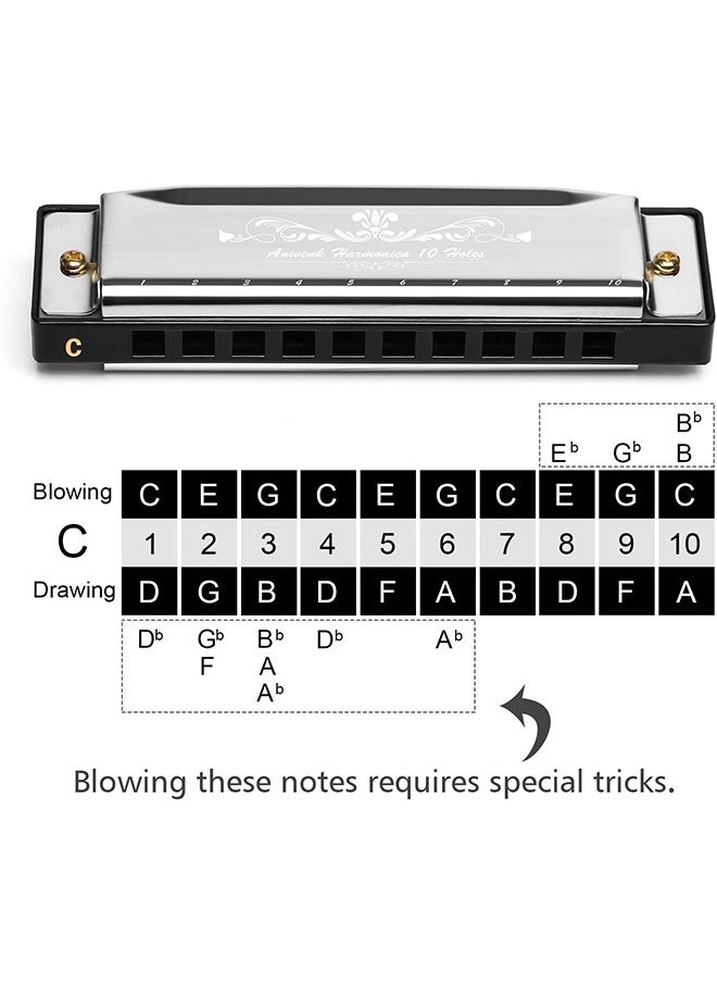 Generic Harmonica, C Key Blues Harmonica for Beginners and Adults, 10 Holes Mouth Organ Blues Harp Diatonic Harmonica,Children Musical Instrument(Silver)  - Image 3