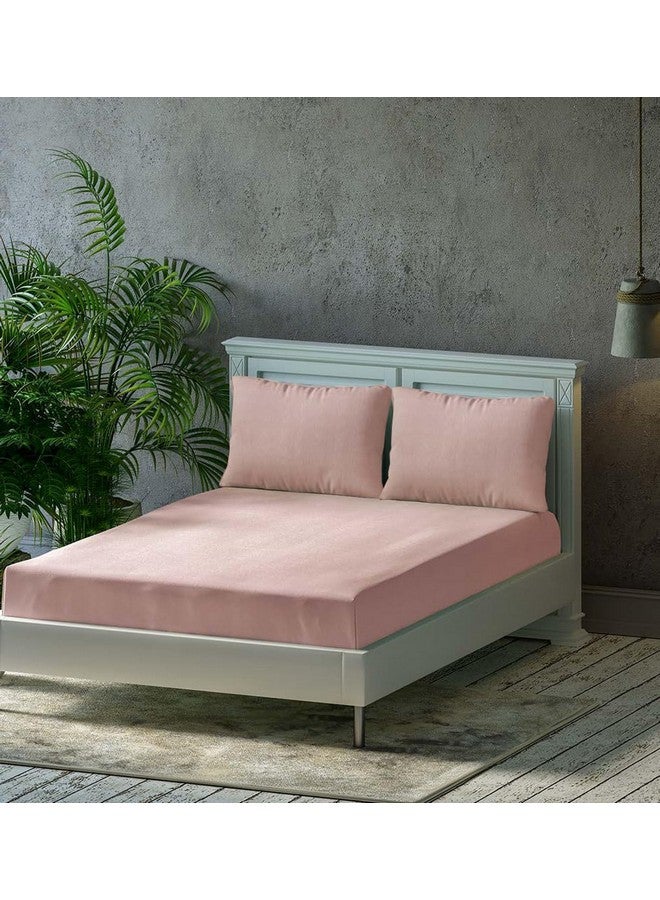 Trance Home Linen Trance Home Linen Premium 300 Tc Pure 100% Cotton Solid Fitted Bedsheet With 2 Pillow Covers(78 X 78 Inch,Blush|All Side Elastic),Full  - Image 1