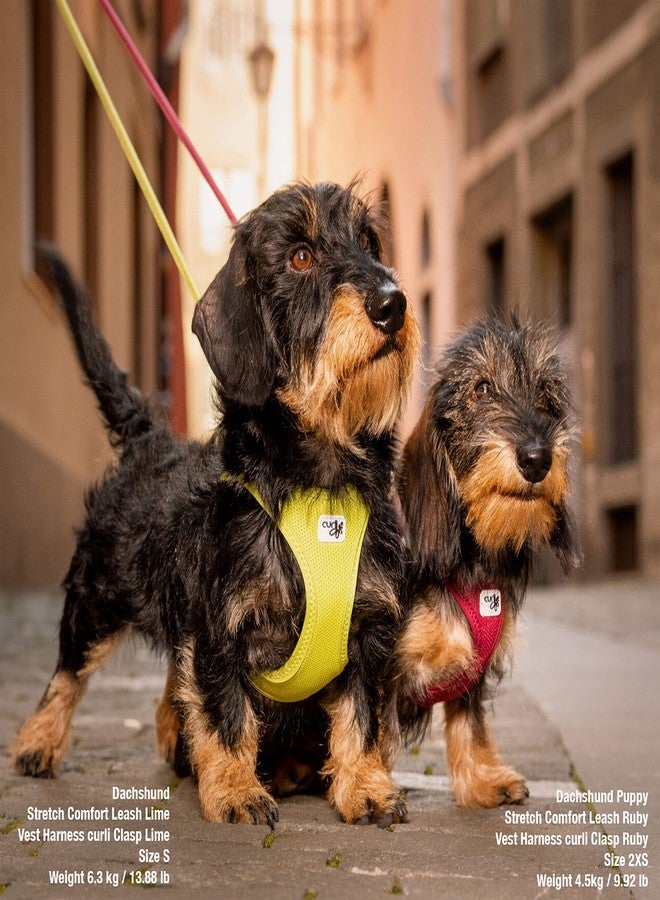 curli Vest Harness Clasp Air-Mesh Dog Harness (Safe Dog Accessories, no Pressure Points, Improved fit, Harness with curli Clasp Buckle) - Image 4