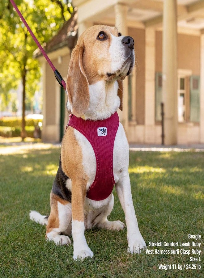 curli Vest Harness Clasp Air-Mesh Dog Harness (Safe Dog Accessories, no Pressure Points, Improved fit, Harness with curli Clasp Buckle) - Image 5