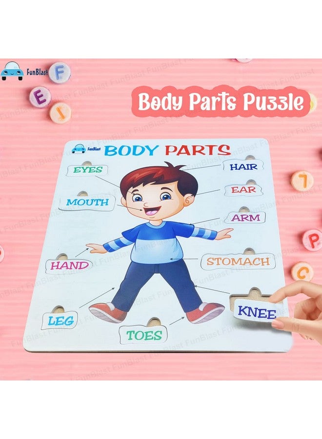 FunBlast Body Parts Puzzle for Kids - Body Parts Toys, Educational Toys for Kids, Body Parts Chart for Kids, Body Parts, Parts of The Body Puzzle (Pack of 1Pcs) (Body Parts) - Image 5