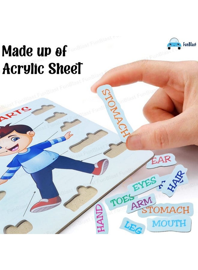 FunBlast Body Parts Puzzle for Kids - Body Parts Toys, Educational Toys for Kids, Body Parts Chart for Kids, Body Parts, Parts of The Body Puzzle (Pack of 1Pcs) (Body Parts) - Image 4