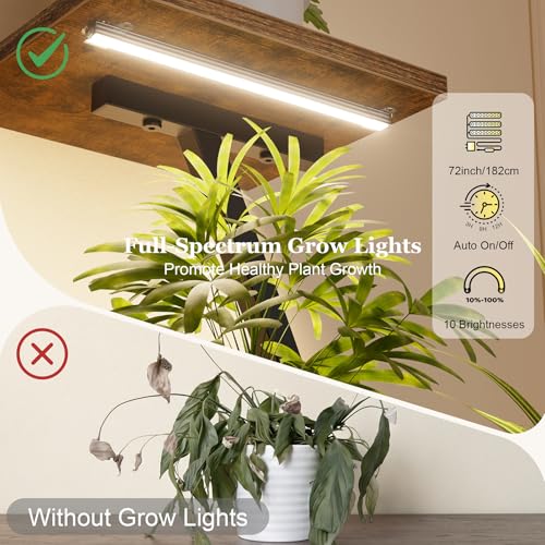 BACEKOLL Plant Stand Indoor with Grow Lights - Lighted Indoor Plant Shelf Tall, 61" 7 Tier Large Plant Stands for Indoor Growing, 2 Pack Corner Flower Shelves, Half-Moon Metal Holder for Home Living Room Black - Image 3