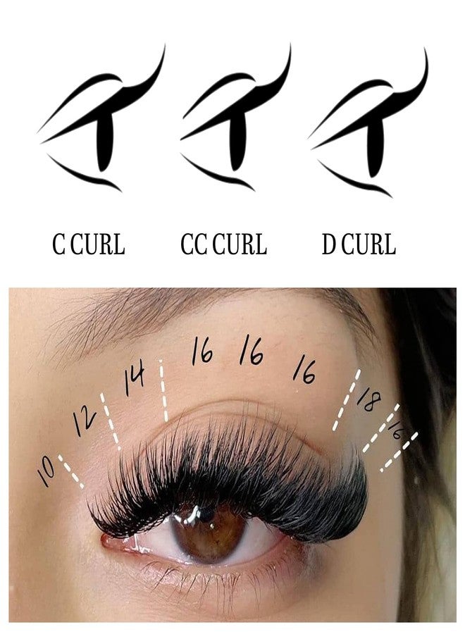 VEYES INC Easy Fan Volume Lash Extensions 03 05 07 J/B/L/C/CC/D/DD Curl 8-25mm Mixed & Single Length Tray, Matte Black Self Fanning Eyelashes, Professional Supplies for Lash Techs (0.05 D 14mm) - Image 5