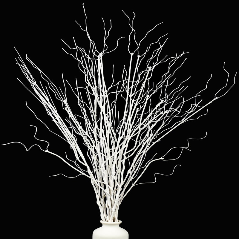 Maniaacer 12PCS White Artificial Curly Willow Branches Lifelike Dried Twigs 295 Inch Bendable Sticks Stem for Vase DIY Craft Garden Office Wedding Home Decor - Image 2