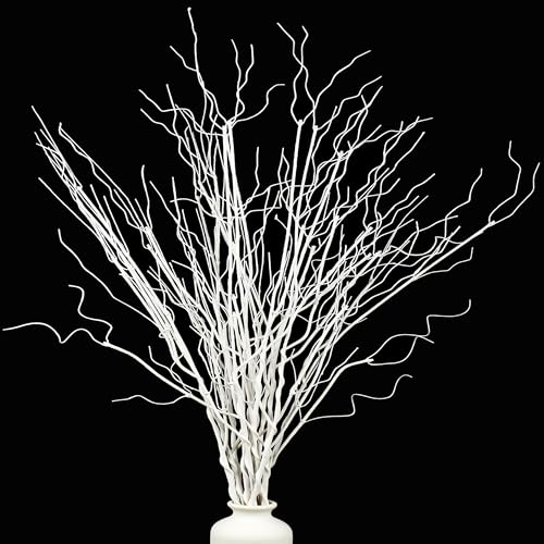 Maniaacer 12PCS White Artificial Curly Willow Branches Lifelike Dried Twigs 295 Inch Bendable Sticks Stem for Vase DIY Craft Garden Office Wedding Home Decor - Image 1