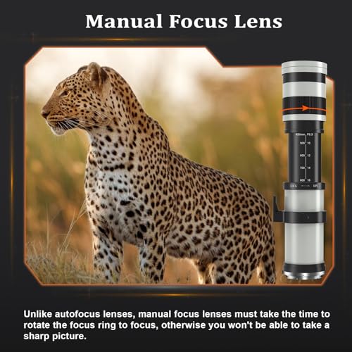 BENOISON 420-800mm Telephoto Lens for Canon - EF Lens for Canon DSLR, Manual Focus MF Zoom Lens for Canon EOS Rebel SL3 SL2 SL1 T8i T7i T7 T6 4000D 1500D 90D 80D 77D 70D 60D 7D 6D 5D 1D DSLR Cameras - Image 4