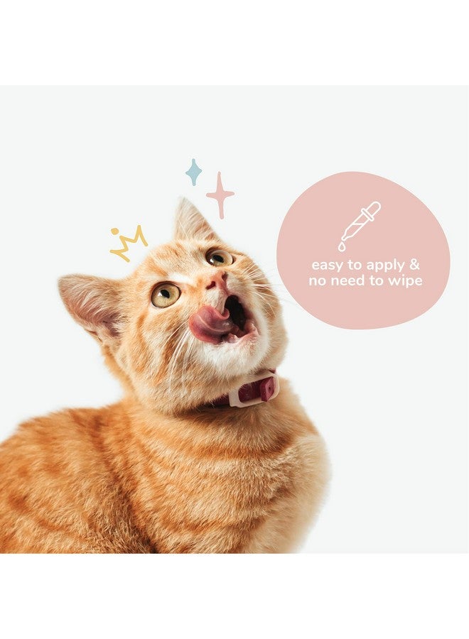 kin+kind Cat Ear Cleaner - Cat Ear Drops, Vet Ear Solution, Eliminates Wax, Odor and Itchy Irritation, Cat Ear Cleaner Solution, Natural in-Home Pet Grooming - Made in USA - Image 4