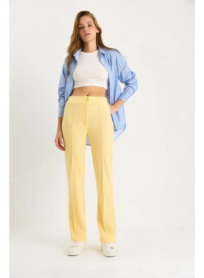 Ginger Mid Rise Seam Detail Straight Fit Pants