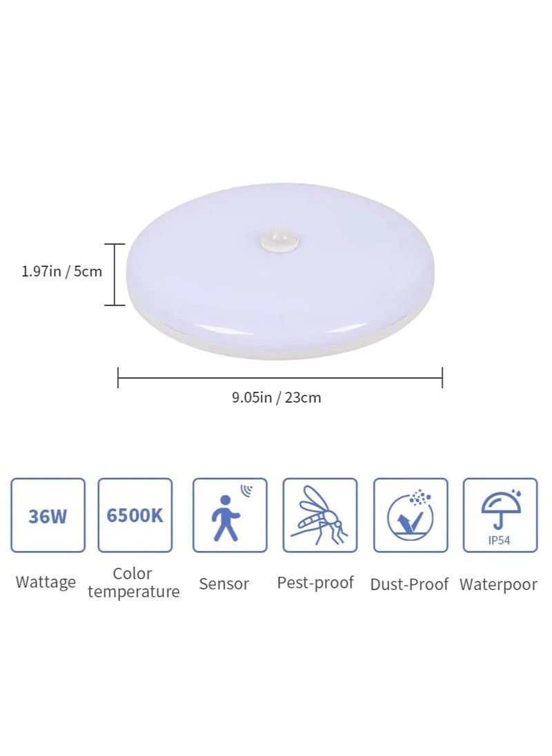 Goeco Led Ceiling Light, Led Ceiling Lamp with Motion Sensor 6500K Cold White, IP54 Waterproof Led Ceiling Light for Kitchen Living Room Bedroom Hallway Room Balcony  - Image 3