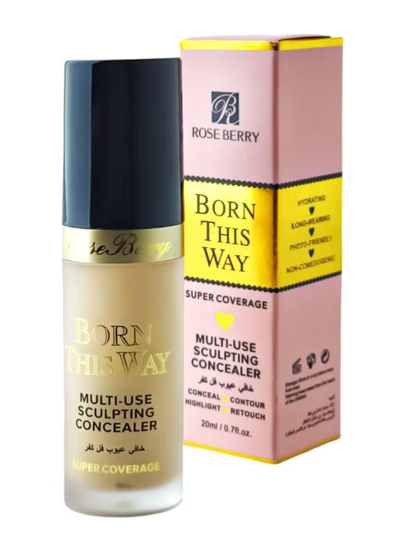 ROSE BERRY Born This Way Super Coverage Multi-Use Sculpting Concealer - 01 - Image 1