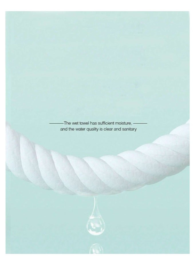 Pet wet wipes made of gentle cotton to clean eyes, ears and nose from tears, crusts and dirt on the eyes of cats and dogs, box containing 130 pieces - Image 3