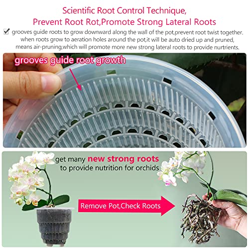 Meshpot 5 inch Orchid Pots with Holes for Repotting with Excellent Airflow, Set of 1, Double Layer Plastic Imitate Ceramic Orchid Planter, Clear Orchid Pot Match Decorative Orchid Container - Image 4