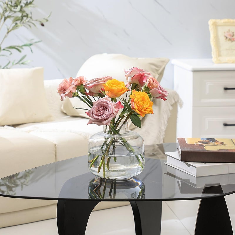 PORPAN PORPAN Short Glass Vase  Short Flower Vase  Round Glass Vase  Small Glass Vase for Flowers  Clear Glass Flower Vase  6 Inch Vase for Living Room  Dining Table  Wedding  Bookshelf  Office Decoration - Image 2