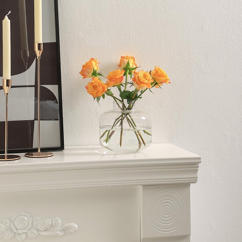 PORPAN PORPAN Short Glass Vase  Short Flower Vase  Round Glass Vase  Small Glass Vase for Flowers  Clear Glass Flower Vase  6 Inch Vase for Living Room  Dining Table  Wedding  Bookshelf  Office Decoration - Image 5