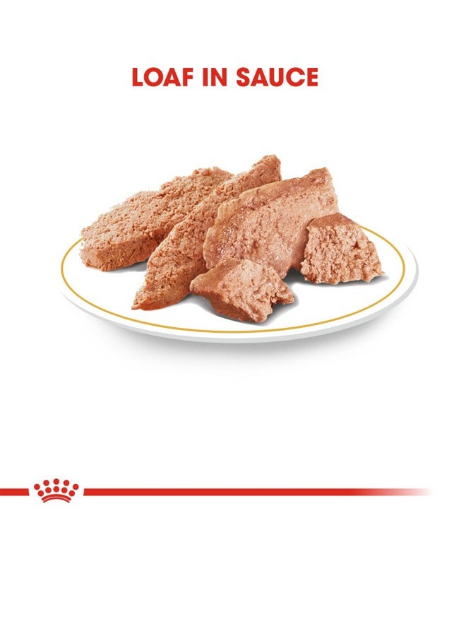 رويال كانين تولد الصحة التغذية الألماني الكبار أكياس الطعام الرطب - Image 5