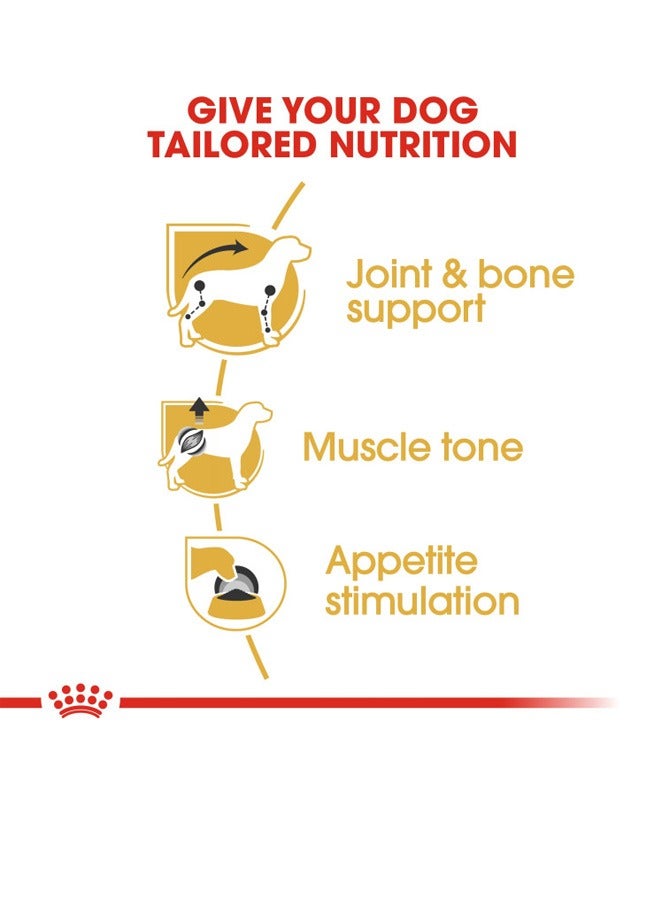 رويال كانين تولد الصحة التغذية الألماني الكبار أكياس الطعام الرطب - Image 4