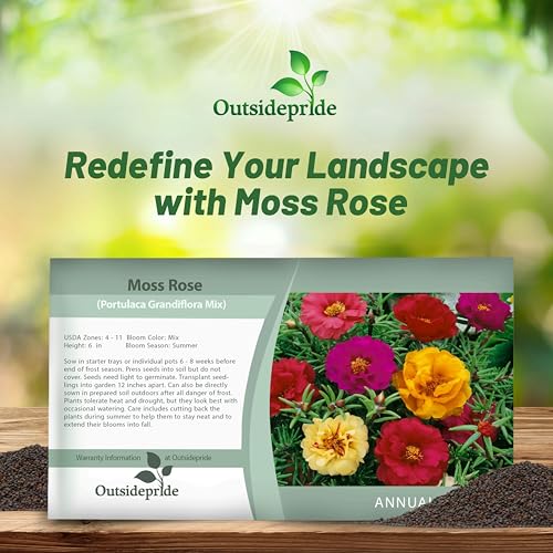 Outsidepride Mixed Moss Rose Seeds - 5000 Pcs Annual, Drought & Heat Tolerant, Pollinator Friendly Ground Cover Seeds for Planting w/Vibrant Blooms & Succulent Foliage, Ideal for Xeriscaping - Image 4