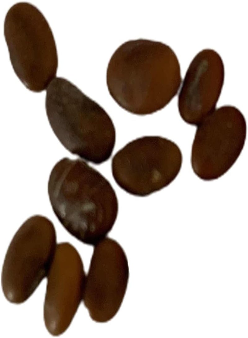 GGOOT 10Pcs Lablab Purpureus Seeds Rare Edible Portable Delicious Hyacinth Bean Seeds Gardening Gifts for Women, Men & Children, Easy to Sow & Grow - Lablab purpureus Seeds - Image 5