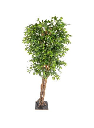 Artificial Ficus plant - pzsku/Z82A423E554292DEAD3B4Z/45/_/1667195970/7827d3c8-a2fd-4266-a660-7688271b19bd