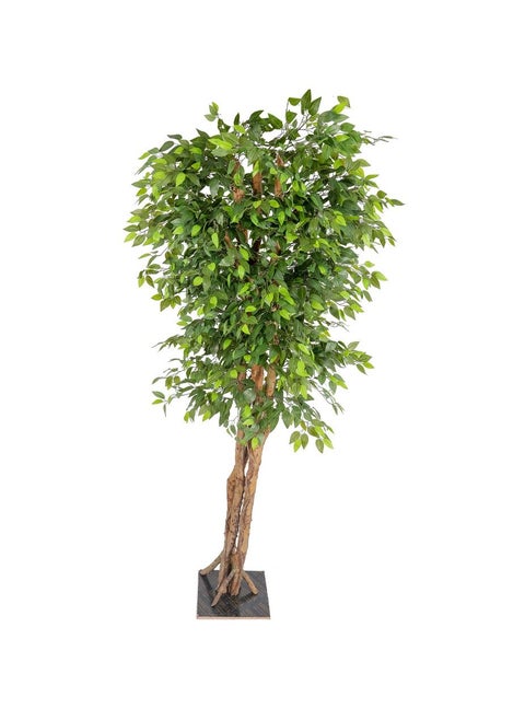 Artificial Ficus plant