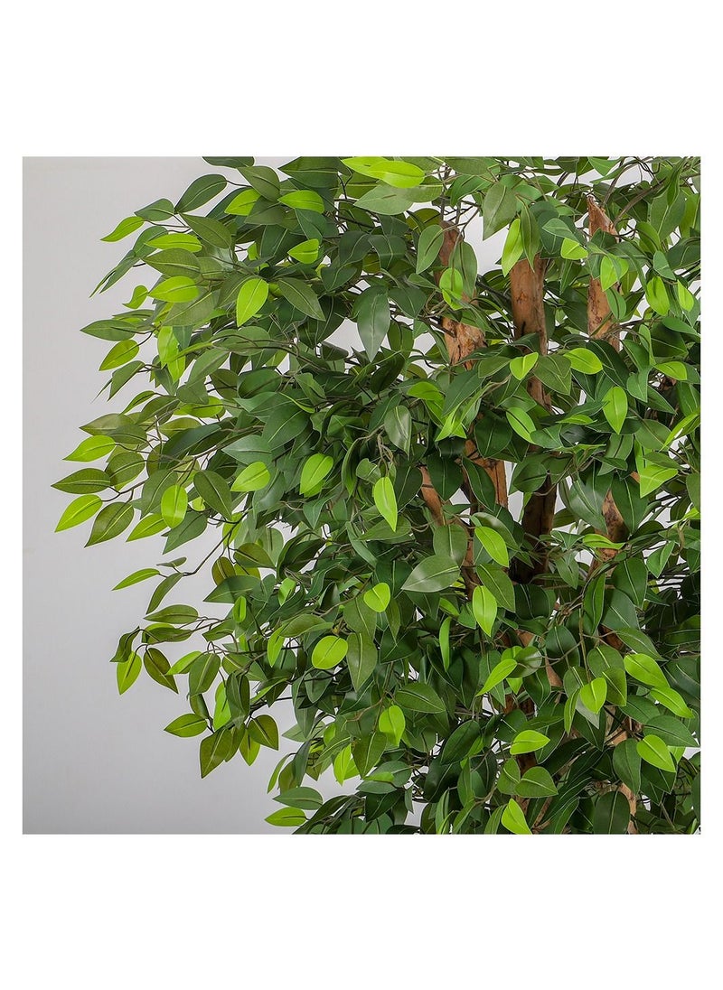 Artificial Ficus plant