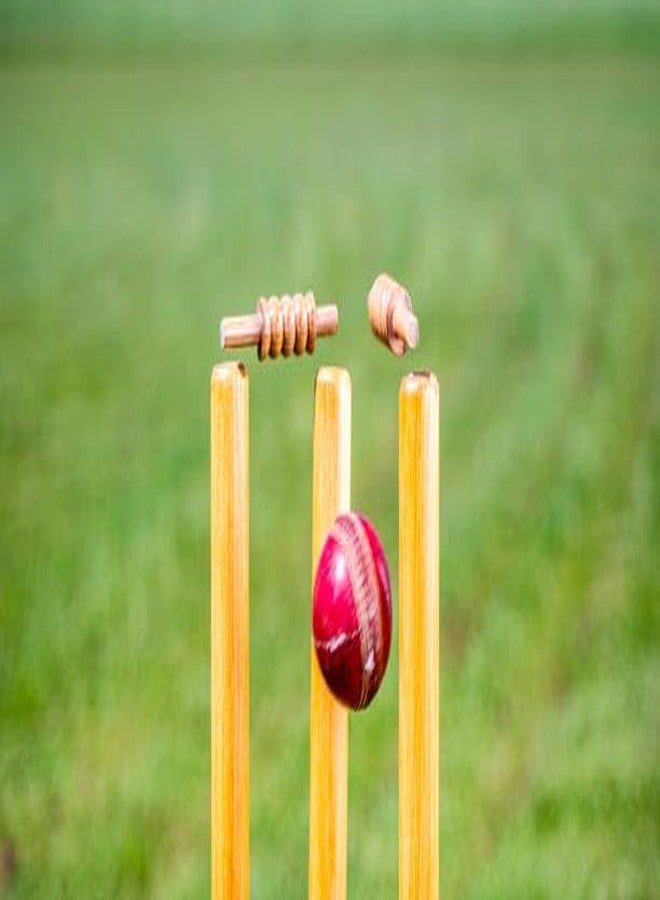SIPL Reindeer Wooden Cricket Stump Bails, Gilli Set | Lightweight and Durable | Pack of 4 (2 Pairs) | Ideal for Indoor & Outdoor Cricket | Quality Cricket Accessories for Enthusiasts - Image 5