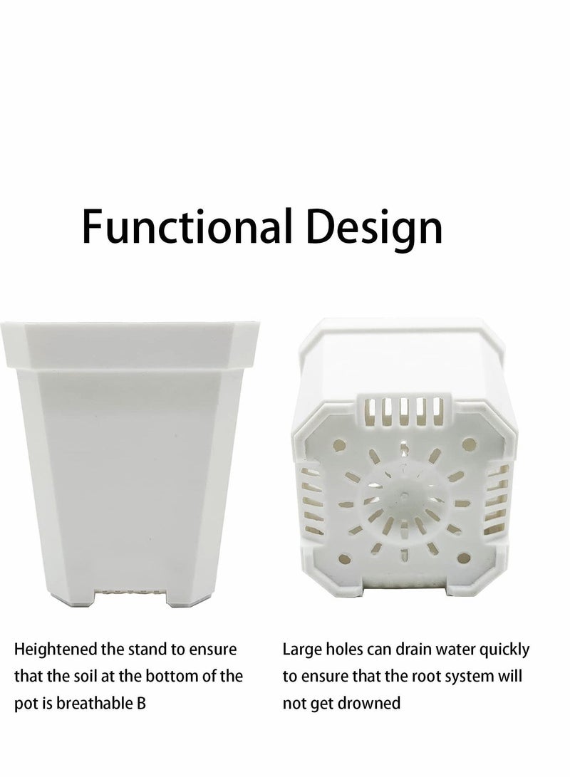 NIBEMINENT 10PCS Small Plant Nursery Pots with Humidity Dome-Plastic Gardening Pot Container-Seed Starting Drain Holes for Seedlings/Vegetables/Succulents/Cuttings - Image 3