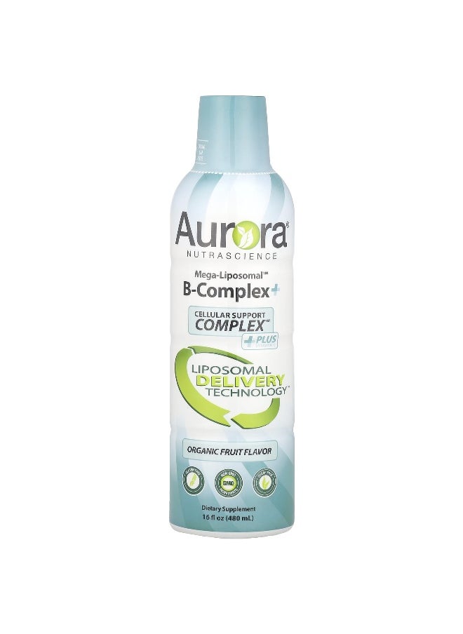 Aurora Nutrascience - Aurora Nutrascience, Mega-Liposomal™ B-Complex+, Organic Fruit, 16 fl oz (480 ml) - Image 1