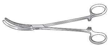 Forgesy Berkeley Hysterectomy Clamp 8" Curved On Flat (Pack Of 1) - Image 4