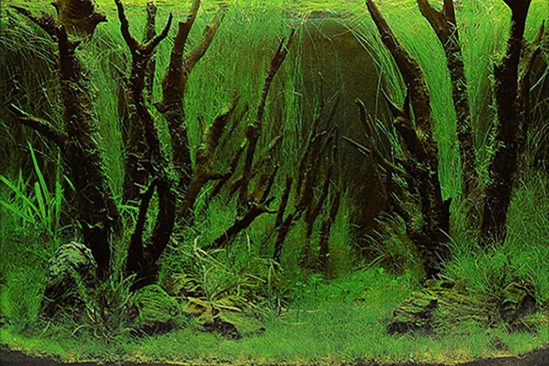 ELEBOX Fish Tank Stickers Wallpaper Seaweed Background Aquarium Background Decoration Water Plants Fish Tank Background 15.7"x 40" - Image 5