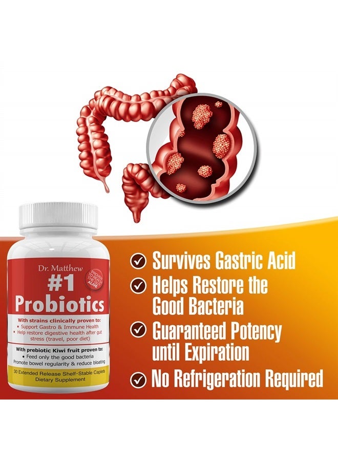 Dr. Matthew Best Probiotic Supplement with Prebiotic. Lactobacillus Rhamnosus, Lactobacillus Gasseri, Plantarum, Casei & Reuteri. Bifidobacterium longum, infantis & lactis. 15 Strains. 15 Billion CFU - Image 2
