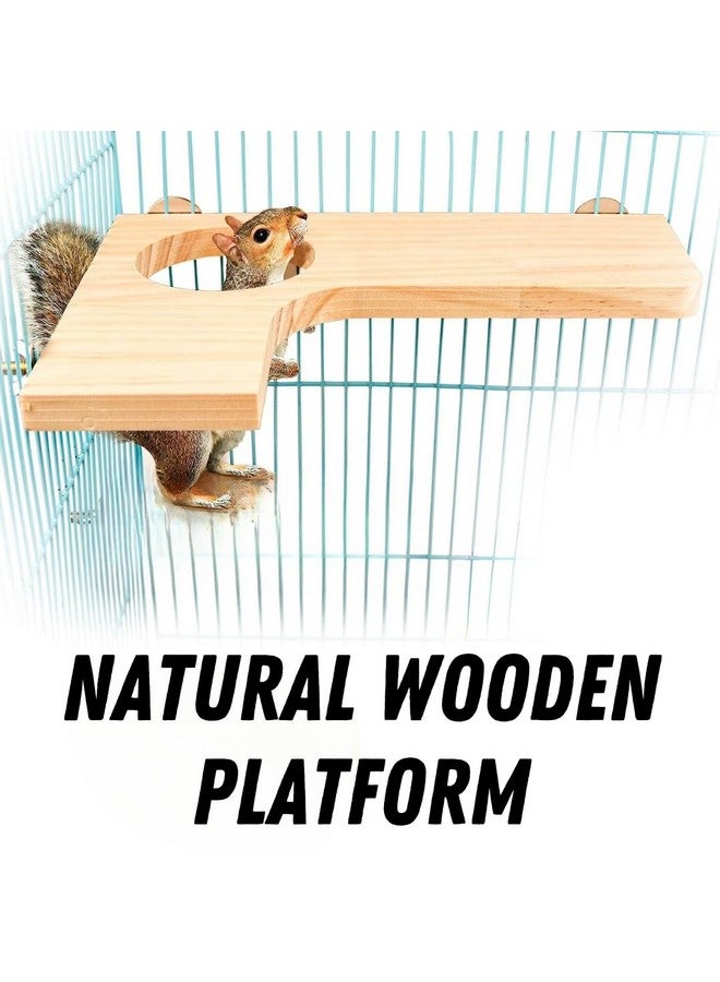 سايج سكوير منصة خشبية طبيعية من Sage Square مقاس 9.5 بوصة × 12.5 بوصة - ملحق قفص متعدد الاستخدامات للطيور والهامستر والفئران والأرانب وخنازير غينيا، متعة تفاعلية وإثراء طبيعي، صناعة عالية الجودة. - Image 2