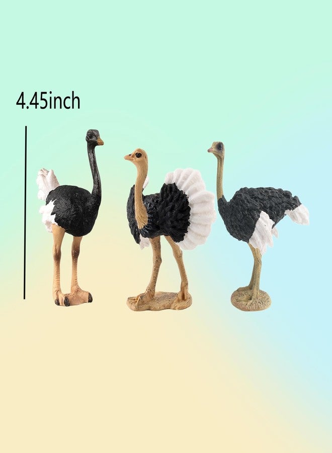 Rardsay 3 Pcs Realistic Ostrich Family Figurines Cake Topper Hand Painted Wildlife Ostrich Animal Figures Statue for Home Decor Birthday Gift Educational Learning Props - Image 2