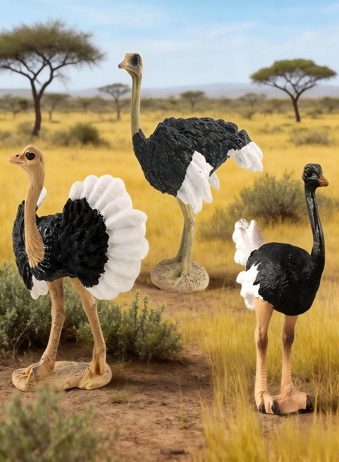 Rardsay 3 Pcs Realistic Ostrich Family Figurines Cake Topper Hand Painted Wildlife Ostrich Animal Figures Statue for Home Decor Birthday Gift Educational Learning Props - Image 3